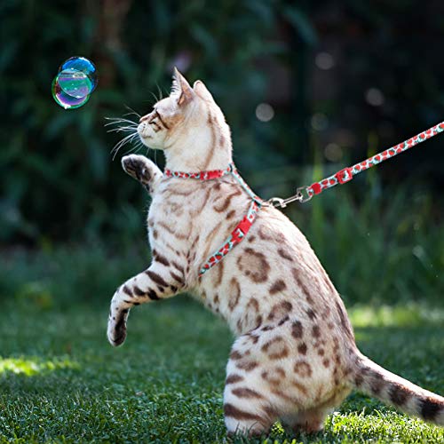 PAWCHIE Cat Harness and Leash Set Escape Proof Adjustable HShaped
