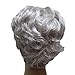 Hmy Grey Short Curly Women Synthetic Full Wig Capless Wig+Wig Cap(2033#60)
