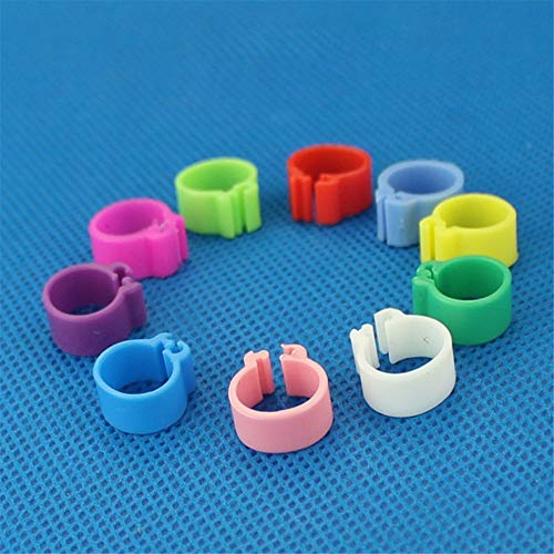 greenwoodhomer Taubenringe, 8 mm, Bajonett-Identifikationsring, zum Öffnen, Taubenring, farbig, 100 Stück – Bild 8