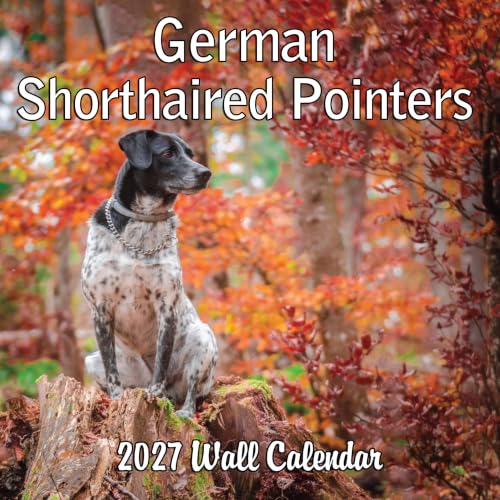 2027 German Shorthaired Pointer Wall Calendar