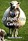 Livro O Hipócrita Carnal