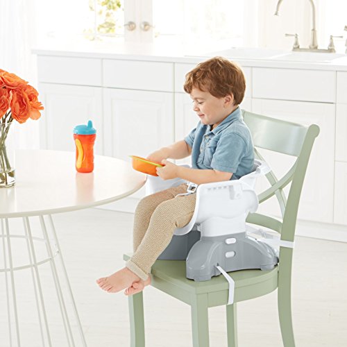 3 Fisher+Price+SpaceSaver+High+Chair+Meadow
