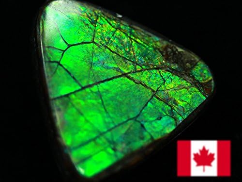 Amazon 天然石の島田商事 超激レア 虹色に輝くイリデッセンスアンモナイト化石宝石7000万年の奇跡カナダ産 宝石ルース 裸石 アンモライト Ammolite 菊石 約1 4g 1個 天然石 パワーストーン Ac ルースストーン 通販