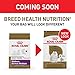 Royal Canin Maltese Adult Dry Dog Food, 10 lb bag