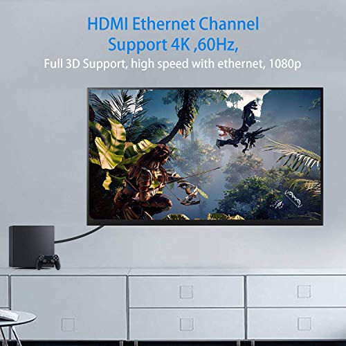 View 6