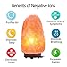 Salt Lamp, SKYROKU Himalayan Crystal Rock Lamp Hand Carved Natural with Wooden Base UL-Approved Cord Dimmer Control and Bulb (1 Pack)