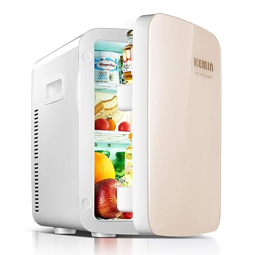 Mini Nevera EléCtrica Cool Box 12v 240v para El AutomóVil Y El ...