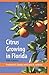 Citrus Growing in Florida by 