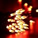 Brizled Orange Halloween Lights, 21.3ft 100-ct Incandescent String Lights Connectable, UL Certified, Black Wire Mini Light Set for Indoor & Outdoor Decorations, Holiday, Christmas