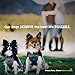 Nature Gnaws Bully Stick Springs for Dogs 7-8