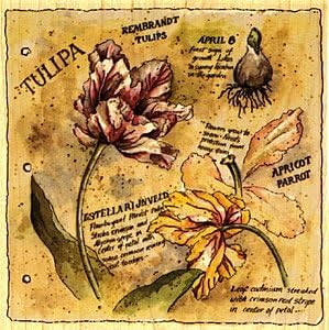 Botanical Journal - Tulip Wood Mounted Rubber Stamp