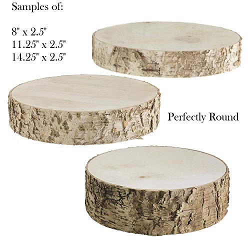 Rustic Wedding Centerpiece - Round Tree Bark Slice - Rustic Wood Tree Trunk Slices - Natural Wood Slice - Tree Slice Cake Stand