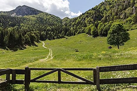Amazon Home Comforts Alm 森林風景 トレント イタリア ガルダ山脈 鮮やかな画像 5 Canvas 10 X 14 アートフレーム ポスター オンライン通販