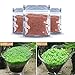 Homedeco Aquarium Glossostigma Hemianthus Callitrichoides Seeds Water Grass Easy Aquatic Live Plant Fish Tank Decoration Landscape Ornament