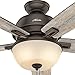 Hunter Donegan Indoor Ceiling Fan with LED Light and Pull Chain Control, 52