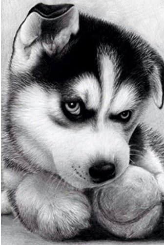 5D DIY Diamond Painting Dog Full Square Drill Embroidery for Wall Decoration 20cmX30cm