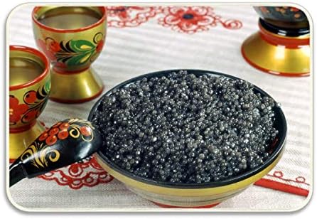 Caviar Dishes Food Spoon Plate Indoor/Outdoor Natural Easy Clean Rubber Non Slip Backing Entry Way Doormat for Patio, All Weather Exterior Doors, 20" X 32"