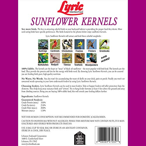 Lyric Sunflower Kernels Wild Bird Seed No Waste Bird Food Attracts