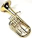 HAICHENWEI Intermediate Monel Pistons Alto Horn w/Case & Mouthpiece-Gold Lacquer Finish