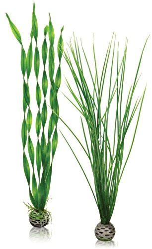 BiOrb Plant Pack, Large