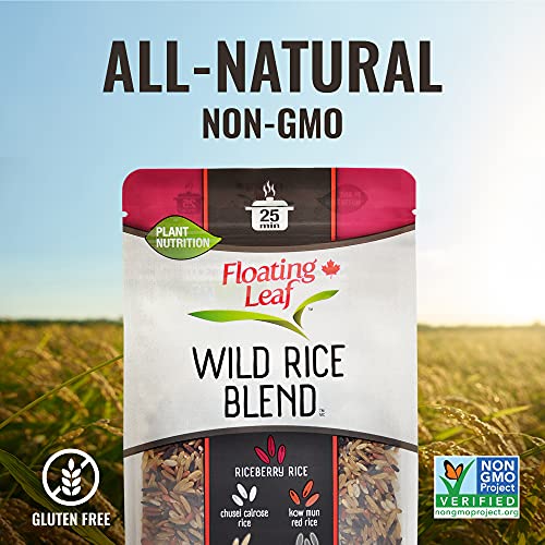 Floating Leaf Wild Rice Blend, Vegan Rice with Nutty Aroma, Flavorful Mix of Riceberry, Red Rice