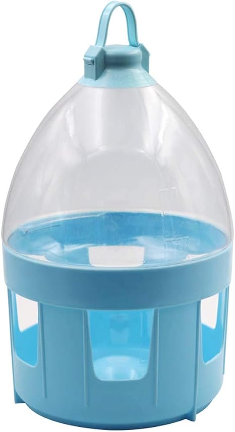 pigeon drinking bottle