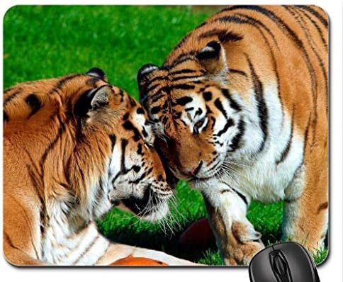 Amur Tigers Mouse Pad, Mousepad (Cats Mouse Pad)