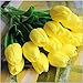 SHINE-CO LIGHTING Artificial Tulips 10Pcs Real Touch Fake Tulips PU Flower Arrangement Bouquets for Home Party Decoration (Yellow)