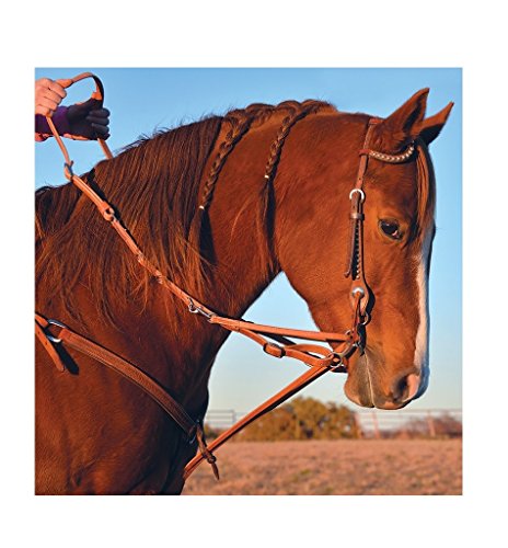 Martin Harness Leather Wide German Martingale