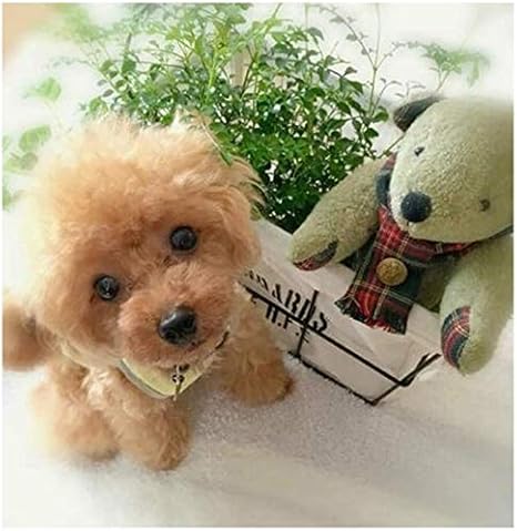 Amazon.com: KDRose - Peluche realista de perro de peluche con forma de perro, hecho a mano, realista, suave y abrazable, peluche de peluche: Jardín y Exteriores