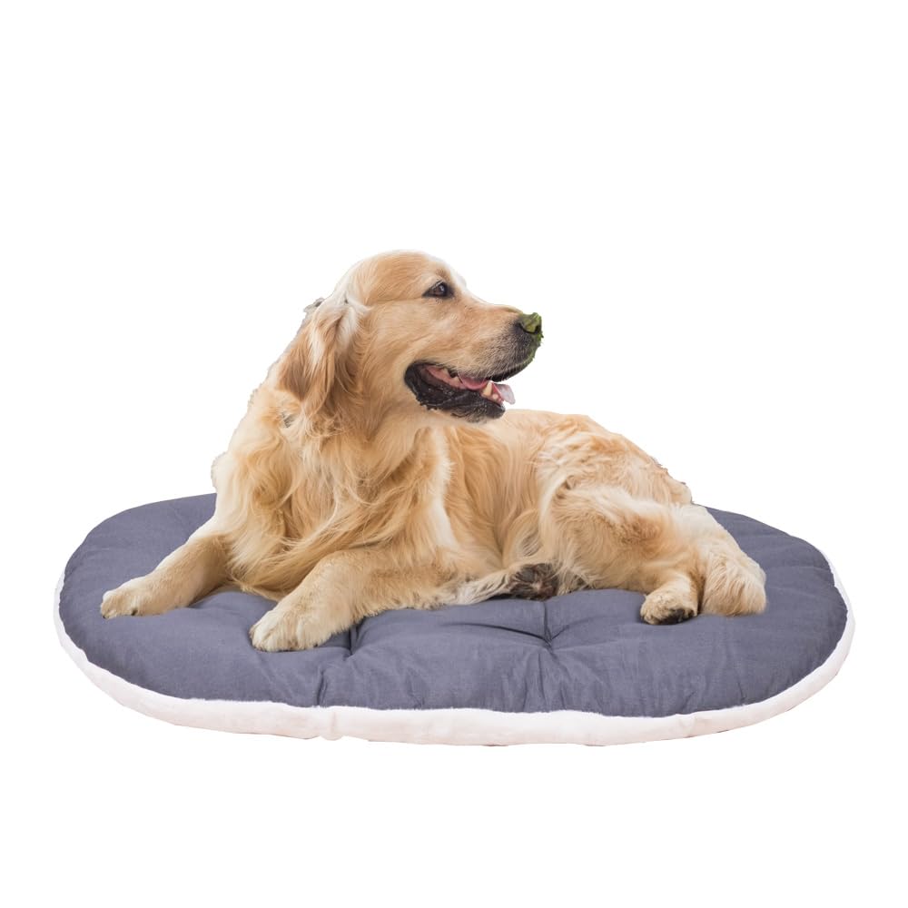 Ferplast Dog Bed Large Dog Cushion Washable Pet Mattress in Cotton with Soft Padding, 100 x 63 cm. Brown