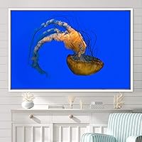 Framed Canvas Wall Art Jellyfish Floating Colorful Fish Group Marine Life Multicolor Nautical Photography Realism Ultra - 16x24 inches