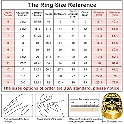 FaithHeart Male Skull Rings Norse Viking Vegvisir