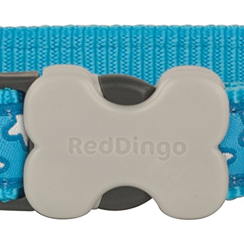 Red Dingo Stars Dog Collar, Turquoise/White, 15mm