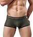 BRAVE PERSON Comfortable Men's Fashion Sports Shorts Mesh Boxer Briefs 1015