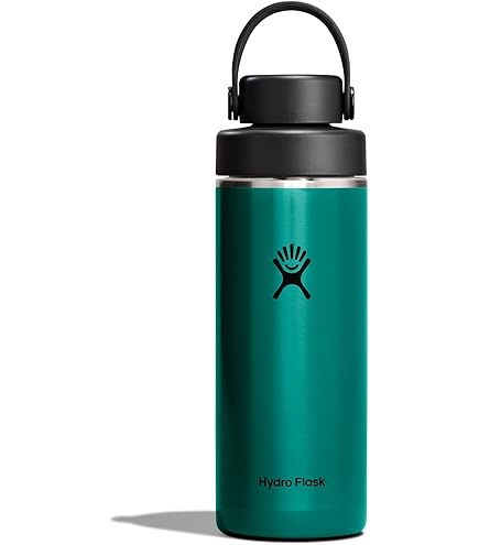 Amazon.com: Hydro Flask Wide Mouth Flex Sip Lid Bottle - Stainless