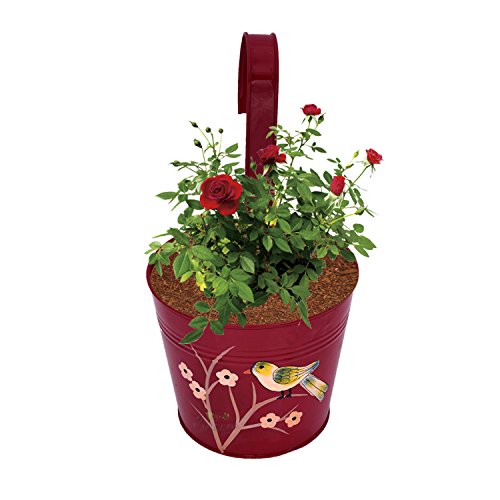 cinagro planter