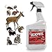 PREDATORGUARD Expel Natural Animal Repellent, Mice & Rodent Repellent - Ready to Use, Weatherproof - 32oz Easy Spray Bottle