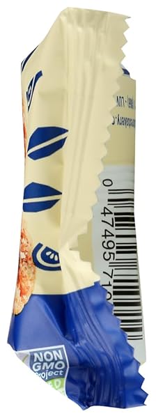 NATURE’S BAKERY GLUTEN FREE FIG BARS – BLUEBERRY – 12-2 OZ TWIN PACK/NET WT 24 OZ