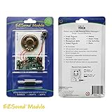 EZSound Module - Push Button Activated - Easy to Record - 120 Seconds Recording - High Sound Quality