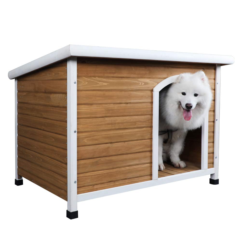 Best Dog House