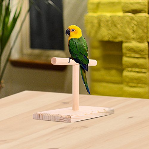 QBLEEV Portable Parrot Training Perches Birdcage Decor Weight Scale Stand, Parakeets Playground