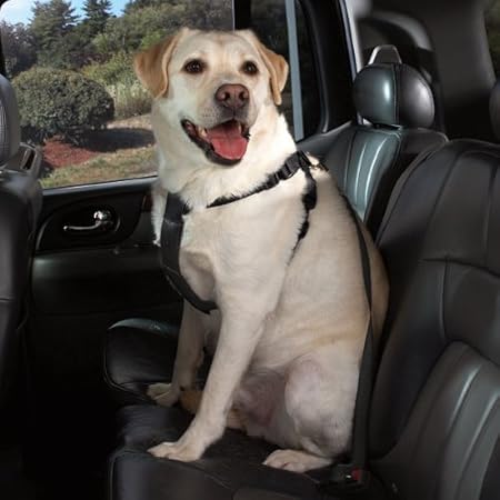 amazon dog car harness