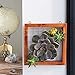 Wall Mount Air Plant Holder – Made from, Sustainably Sourced Wood – Minimalist Style, Visible Wood Grain, Easy-to-Hang Design Wall Decor – Wall Hanging Air Plant Holder