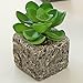 MyGift Set of 3 Decorative Green Realistic Mini Succulent Plants w/Brown Stone Pots