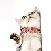 Necoichi Ninja Cat Collar (Red)