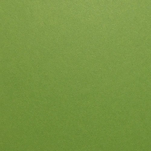Gumdrop Green Cardstock Paper - 12 x 12 inch 100 lb. Heavyweight Cover - 25 Sheets from Cardstock Warehouse