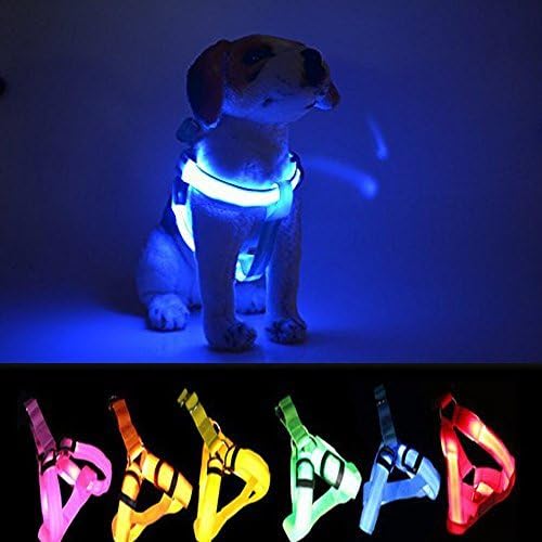 LED Dog Harness,Paperflower Flashing Strong Waterproof Nylon Webbing Visible Led Light Harness Used for Safe Walking Hiking and Jogging (XXL, Blue)
