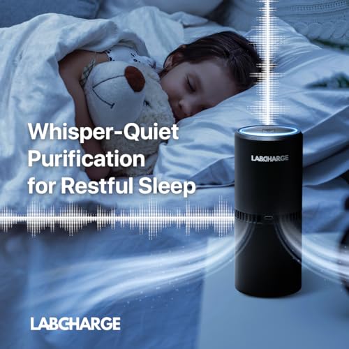 LabCharge Small Ionic Air Purifier for Home & Bedroom – Silent HEPA Filter – Covers 250 Sq Ft – For Pet Hair, Smoke, Dust, Odors & Dander – Compact Black Design – Pack of 5
