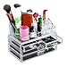 Ovonni Acrylic Makeup Brush Stand Box (4 Drawers)